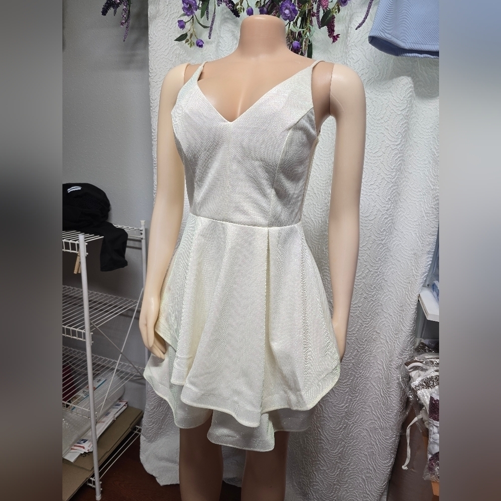 Teeze Me White Sleeveless Fit and Flare Mini Dress